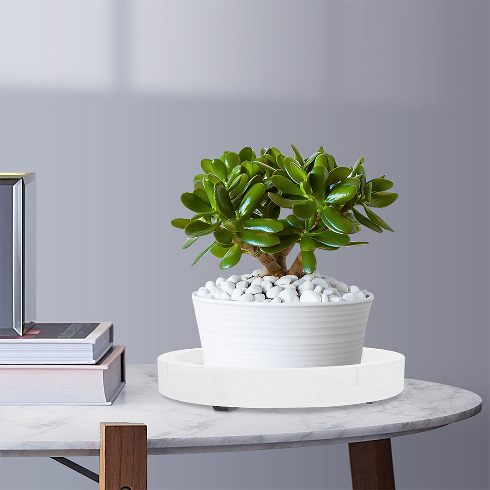 Beyaz Yuvarlak Kalınlaştırılmı - Humidity Tray Pebble incelemesi ve fiyatı