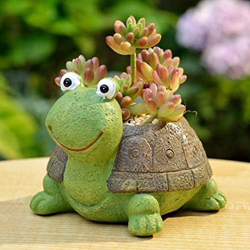 Sevimli kaplumbağa ekici etli  - Bonsai Garden Desk incelemesi ve fiyatı