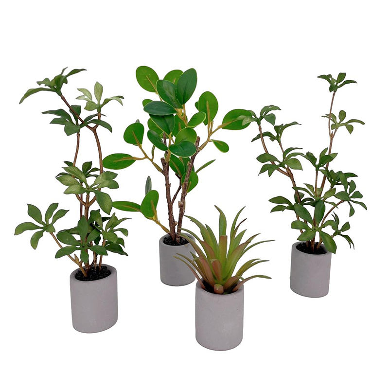 1:6 Evcilik Minyatür Saksı Bit - Bonsai Garden Plants incelemesi ve fiyatı