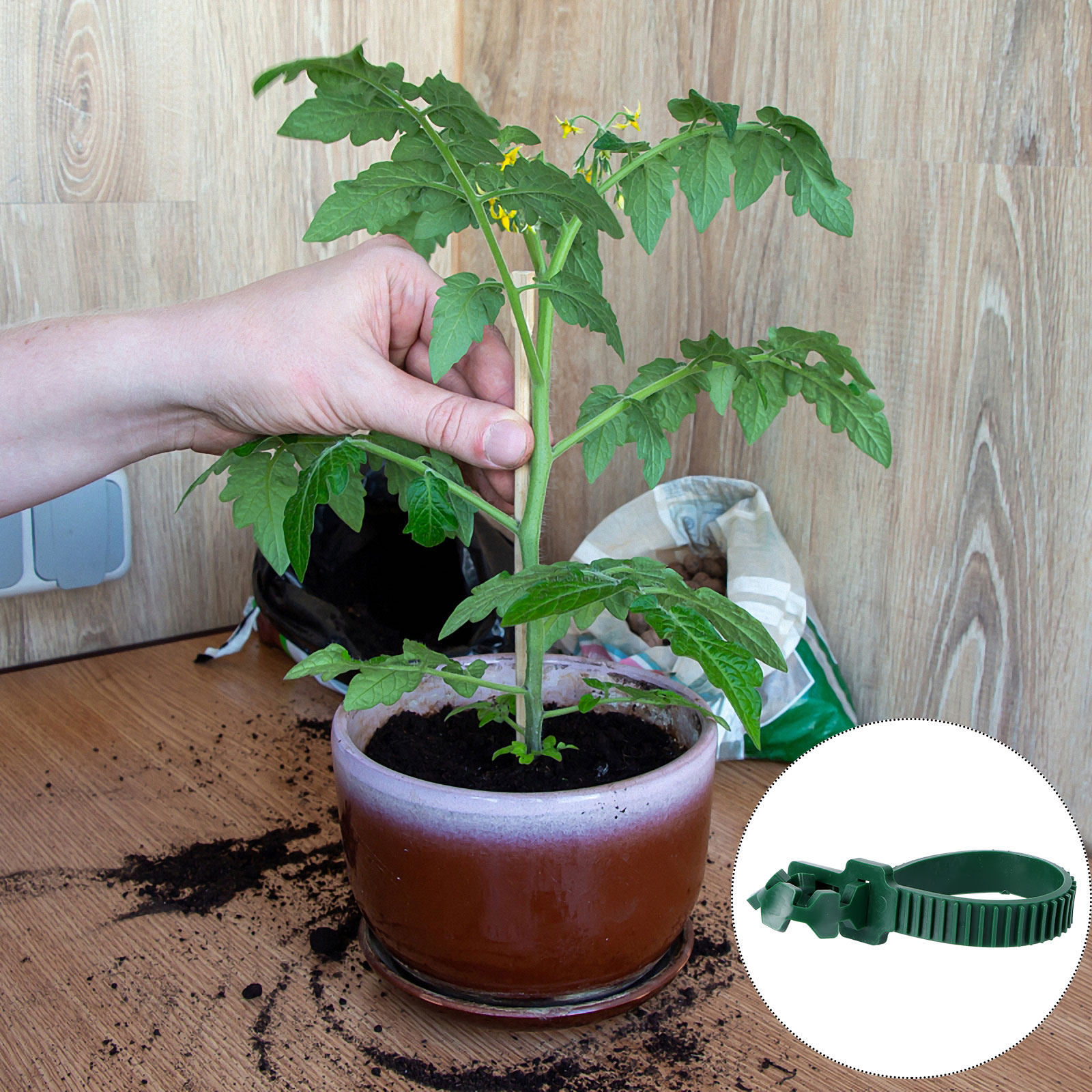 20 Adet Asma Bağlama Tokası Ba - Bonsai Garden Plants incelemesi ve fiyatı