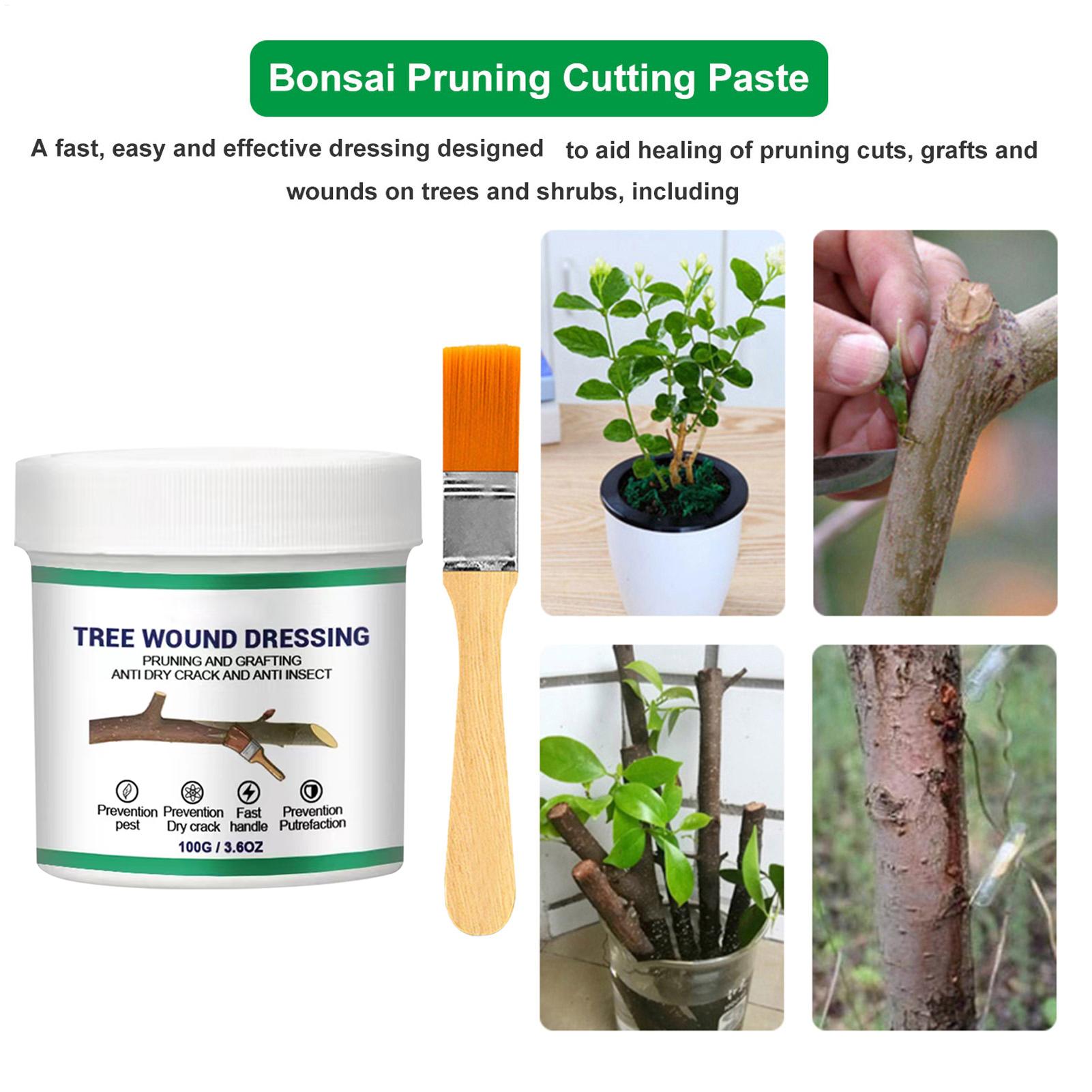 100g Ağaç Yara Sızdırmazlık Ma - Bonsai Garden Plants incelemesi ve fiyatı