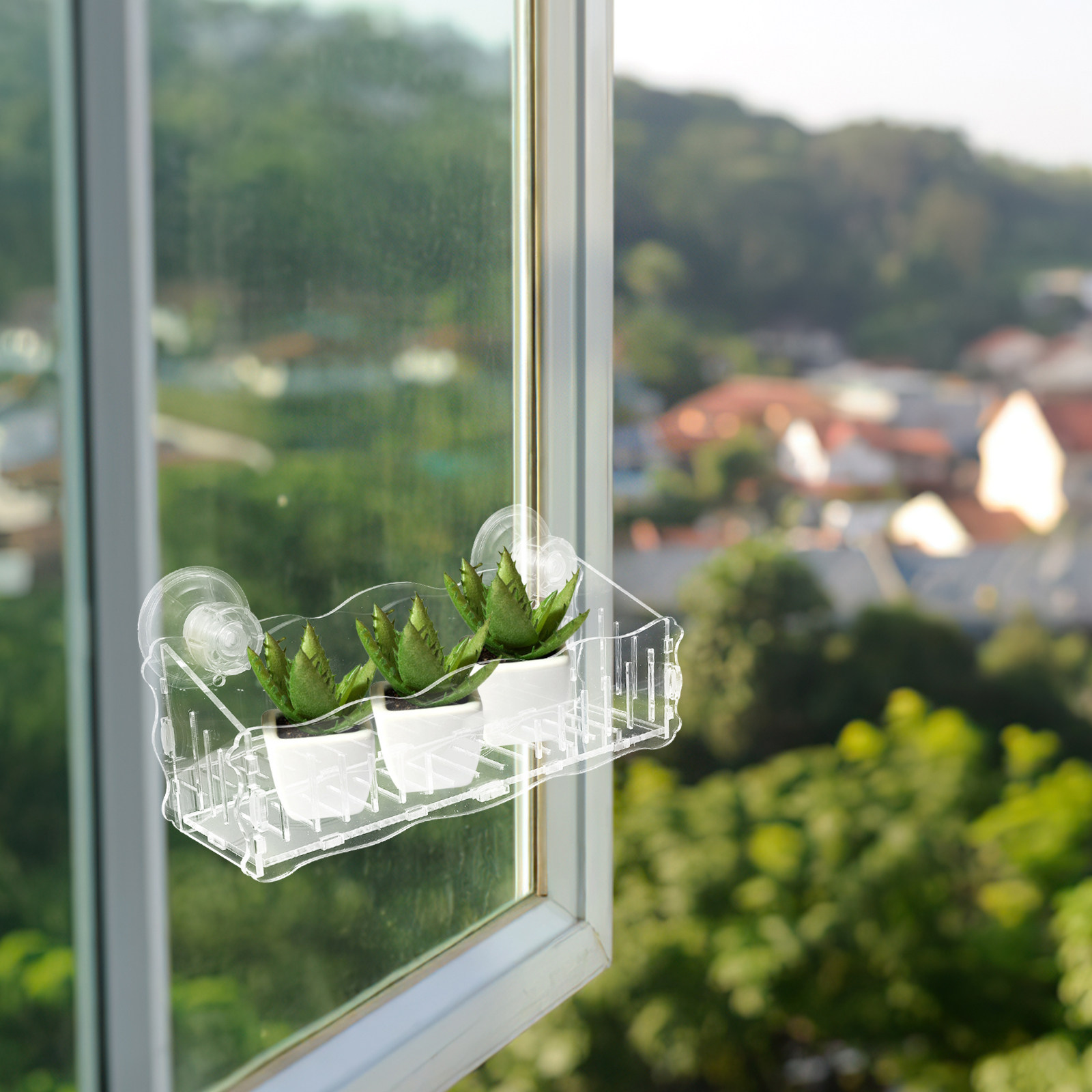 Vakumlu Tabanlı Saksı, Şeffaf  - Bonsai Garden Plants incelemesi ve fiyatı
