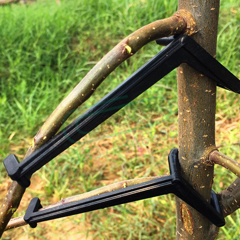 10-30 adet meyve ağacı klipler - Bonsai Garden Tools incelemesi ve fiyatı