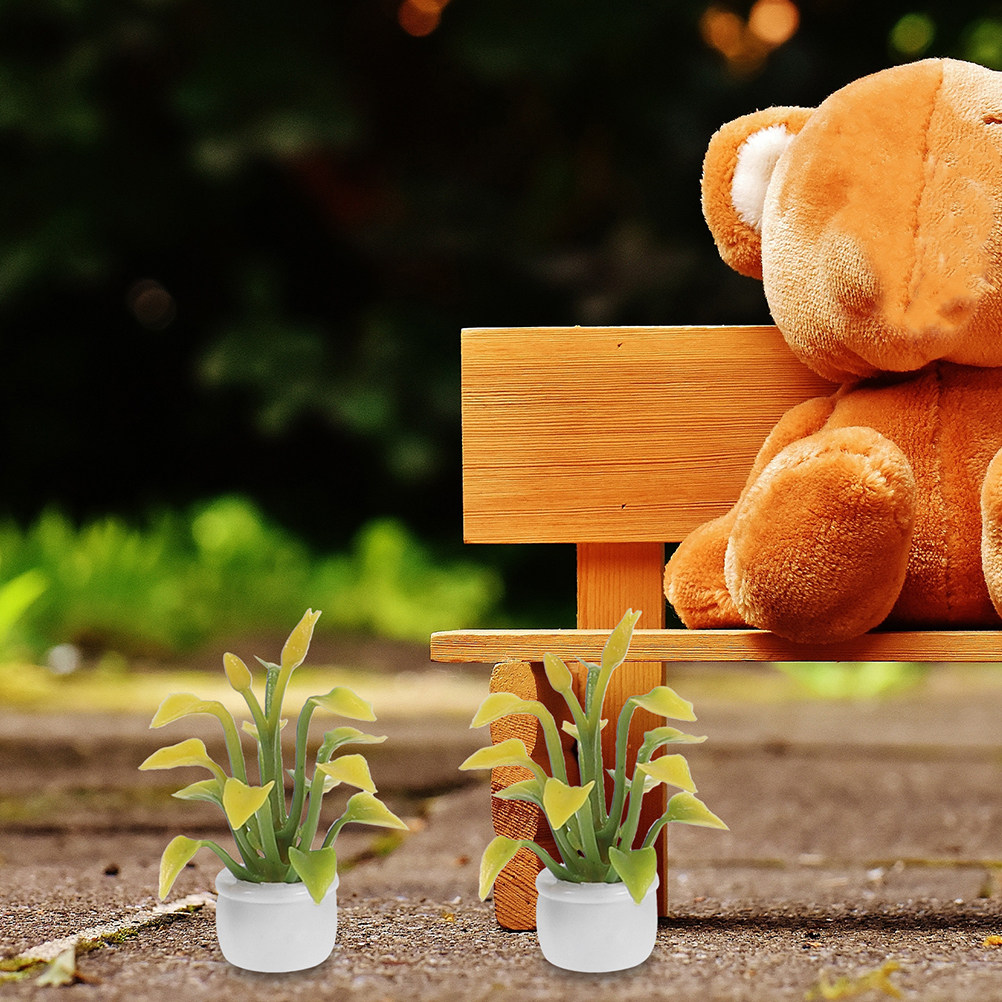 9 Adet Minyatür Saksı Bitkisi  - Bonsai Garden Desk incelemesi ve fiyatı